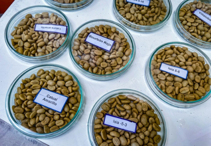 A variety of Cuban specialty coffees are displayed at a coffee improvement center in Jibacoa, Villa Clara province, Cuba