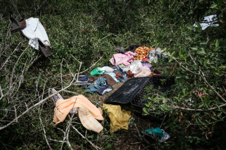 Clothes were found scattered in the forest at the weekend