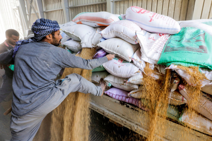 Workers collect wheat at the Benha grain silos, in Al Qalyubia Governorate