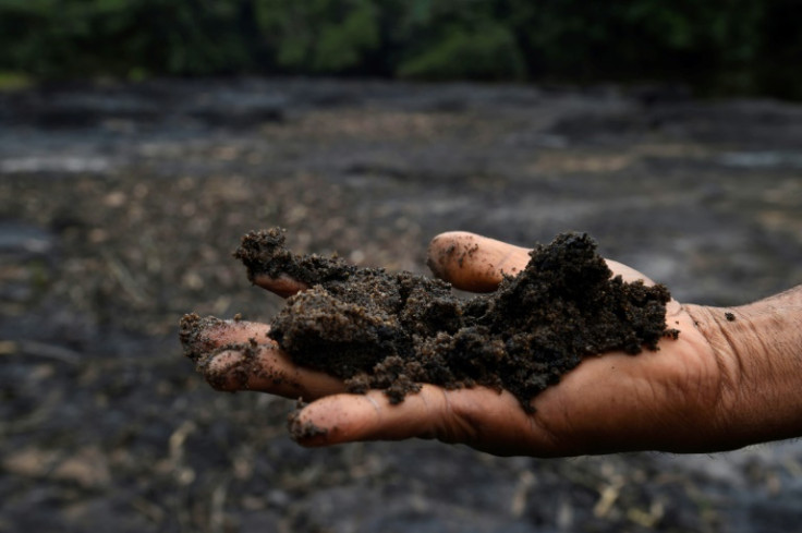 Years of oil pollution have had a devastating impact on soil, water and wildlife, says the report