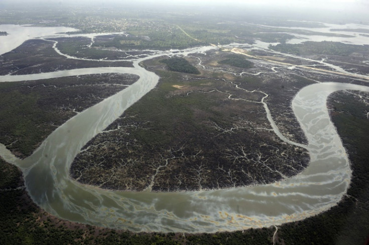 Oil-ravaged creeks and mangroves in the Niger Delta, pictured in 2013. Shell blamed thieves for vandalising pipelines to steal oil