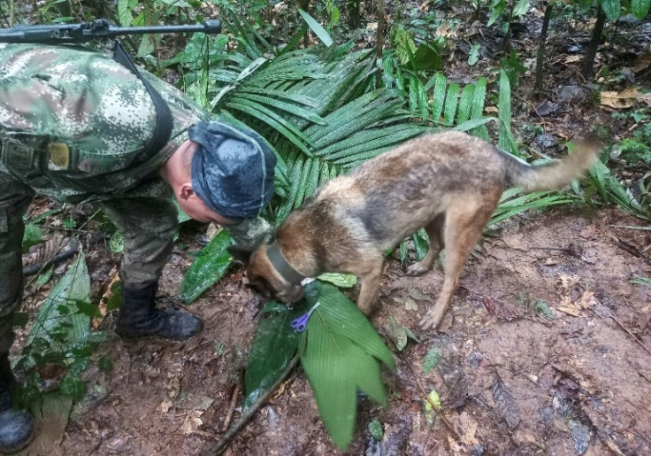 A photograph released by Colombia's armed forces shows soldiers and sniffer dogs searching for the missing children