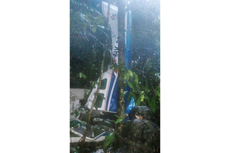 This handout picture released by the Colombian Army shows a crashed plane in the forest at a rural area of the municipality of Solano, department of Caqueta, Colombia