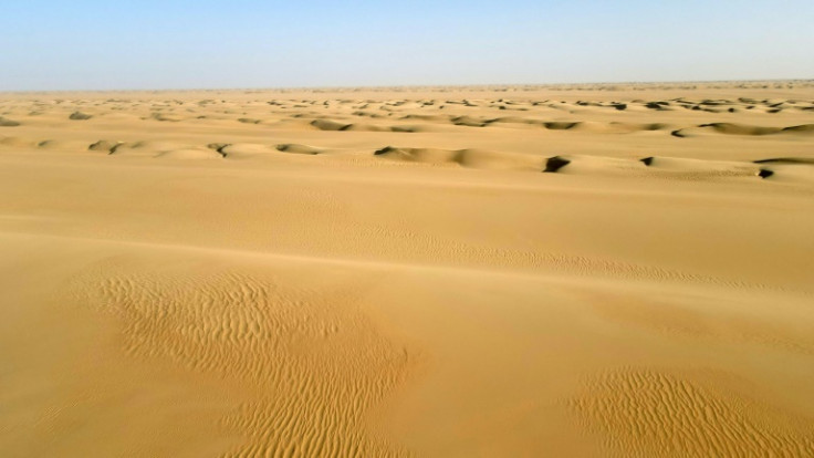The oasis of Fachi is famous for its fortress and its old town, with walls almost intact