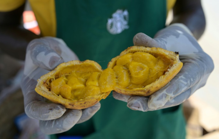 Maad has soft, juicy seeds that have a distinctive sweet-and-sour flavour -- experts say they are also rich in vitamins and fibre