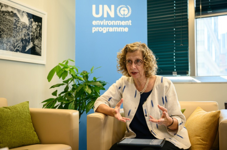 Inger Andersen, Under-Secretary-General of the United Nations and Executive Director of the UN Environment Programme, speaks during an interview at UN headquarters in New York City on September 21, 2023