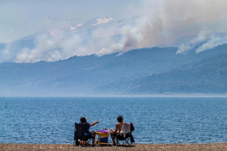 A fire that destroyed around 600 hectares of a national park in Argentina was the result of arson, authorities say