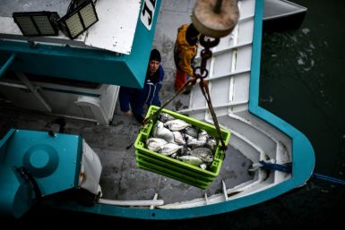 Subsidies and overcapacity in the global fishing industry are the target of World Trade Organisation talks this week